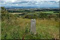 A gatepost beside the path