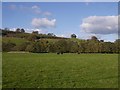 Field, Glenesslin