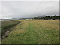 Alongside the River Forth