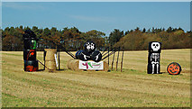 NS3628 : Bale Art by Crossroads YFC by Mary and Angus Hogg