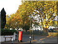 Raleigh Road / Willoughby Road, N8 (2)