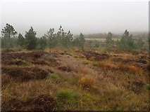 NC7413 : View Across Old Enclosure at Bad an t-Sean-tighe by Chris and Meg Mellish