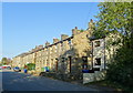 Terraced housing on Burnley Road East (B6238)