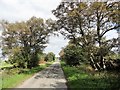 View along Millershill Lane