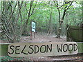 Selsdon Wood on the London Loop