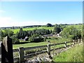 Looking across Stockerley Burn