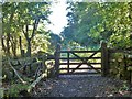 A gate on the path