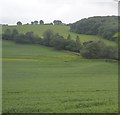 Sheepham Brook Valley