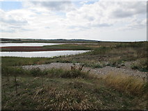 TG0644 : Over  Arnold's  Marsh  toward  Cley  next  the  Sea by Martin Dawes