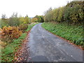 Minor road heading towards Bedrule