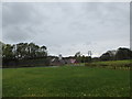 Looking from the big house towards Farringford Farm