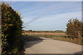 Track to Green Barn Farm, Alton