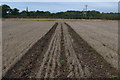 Tracks in field at Neacroft