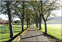 NX1897 : Footpath at Victory Park, Girvan by Billy McCrorie