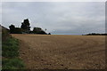 Ploughed Field beside Bury Lane