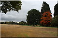 Country between Great Waltham and Howe Street