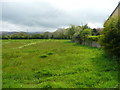 Q8515 : Field off Racecourse Road, Tralee by Humphrey Bolton