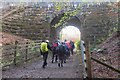 Path under railway bridge, Culloden Wood