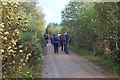 Track in Culloden Wood