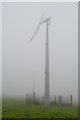 Two wind turbines