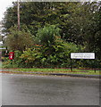 Queen Elizabeth II postbox, Pantlasau, Swansea