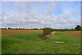 TL5806 : The Essex Way crossing a field boundary by Tim Heaton