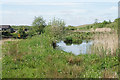 Pond by Keepers Cottage