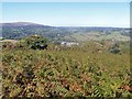 Chagford from Nattadon Common