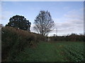 Footpath from Newbold Verdon to Barlestone