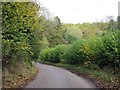 Rural road out of Wootton