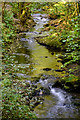 West Devon : Lydford Gorge - River Lyd