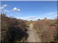 Leamside line trackbed