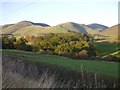 View towards Well Hill