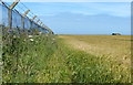 Farmland at the Corton Cliffs