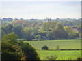 Autumn morning in Dedham Vale