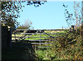 Gate on Hey Head Lane