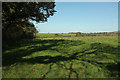 Field near Easten Bowtan Farm