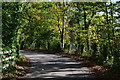 Bend in lane to Ossemsley Manor