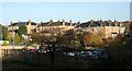 The rear of large houses on Whittinghame Drive