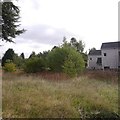 Unused ground, Hatton Road