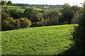 Field and wood near Milton Combe