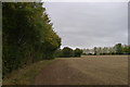 Footpath along field edge to the west of Pleshey