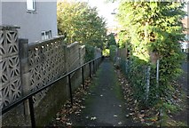 NS5568 : Path to Dorchester Avenue by Richard Sutcliffe