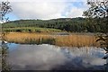 NR8798 : Loch Leathan, Glassary, Argyll by Alan Reid