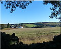 Bawdon Cottage Farm in Charnwood Forest