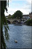 SJ4812 : Welsh Bridge and Swan by DS Pugh