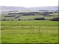 Farmland at Burradon Mains