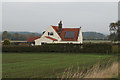 Little Bustard on Burnbutts Lane