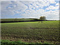 Spoilheap, former Bilsthorpe Colliery