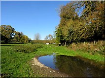 SU8695 : Hughenden Stream in Hughenden Park by Steve Daniels